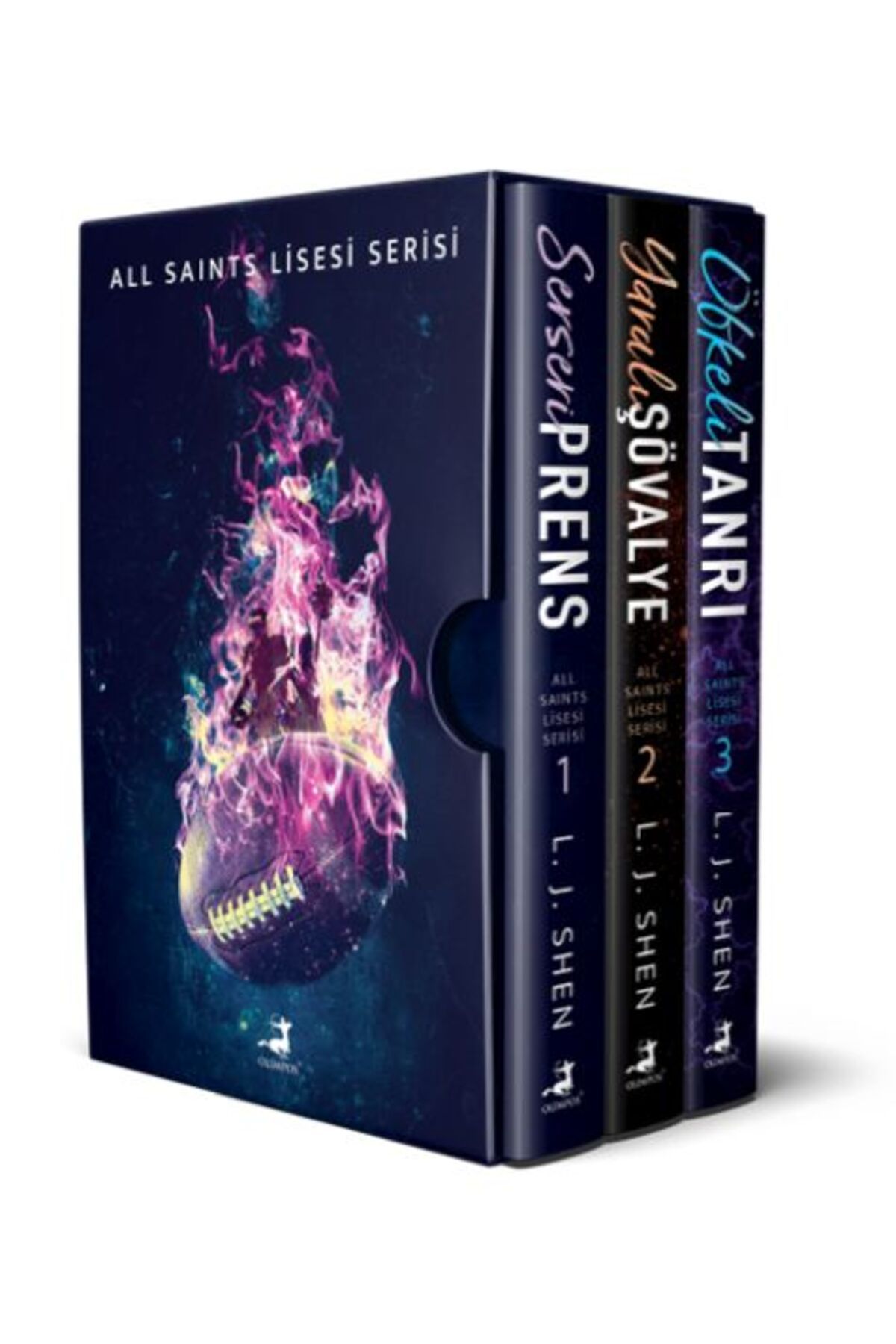 Destek Yayınları All Saınts Lisesi Serisi Kutulu Set