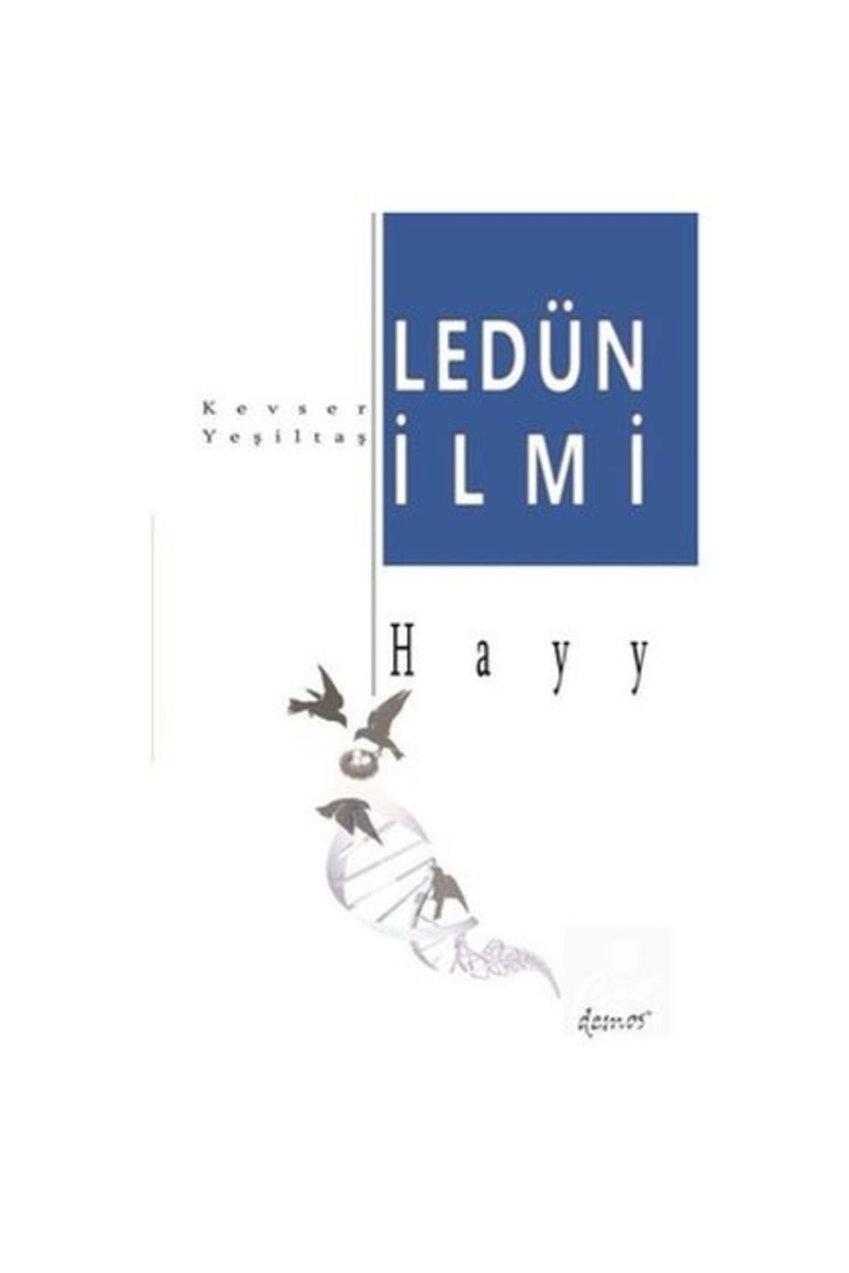 Destek Yayınları Ledün İlmi - Hayy