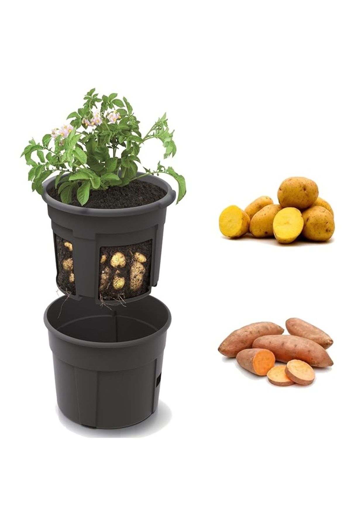 zola Ghiveci Dublu Cartofi Si Legume, 12l, Diamentru 29.5 Cm, H25 Cm, Polipropilena, Negru - One Size