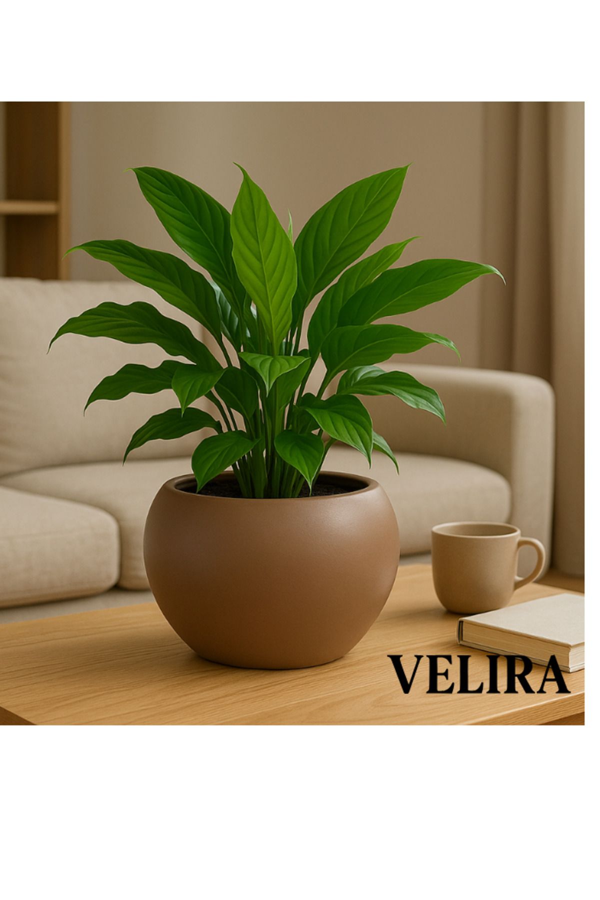SERİNOVA Küre Saksı Yuvarlak Saksı Modern Dekoratif Plastik Saksı 7,5 Litre