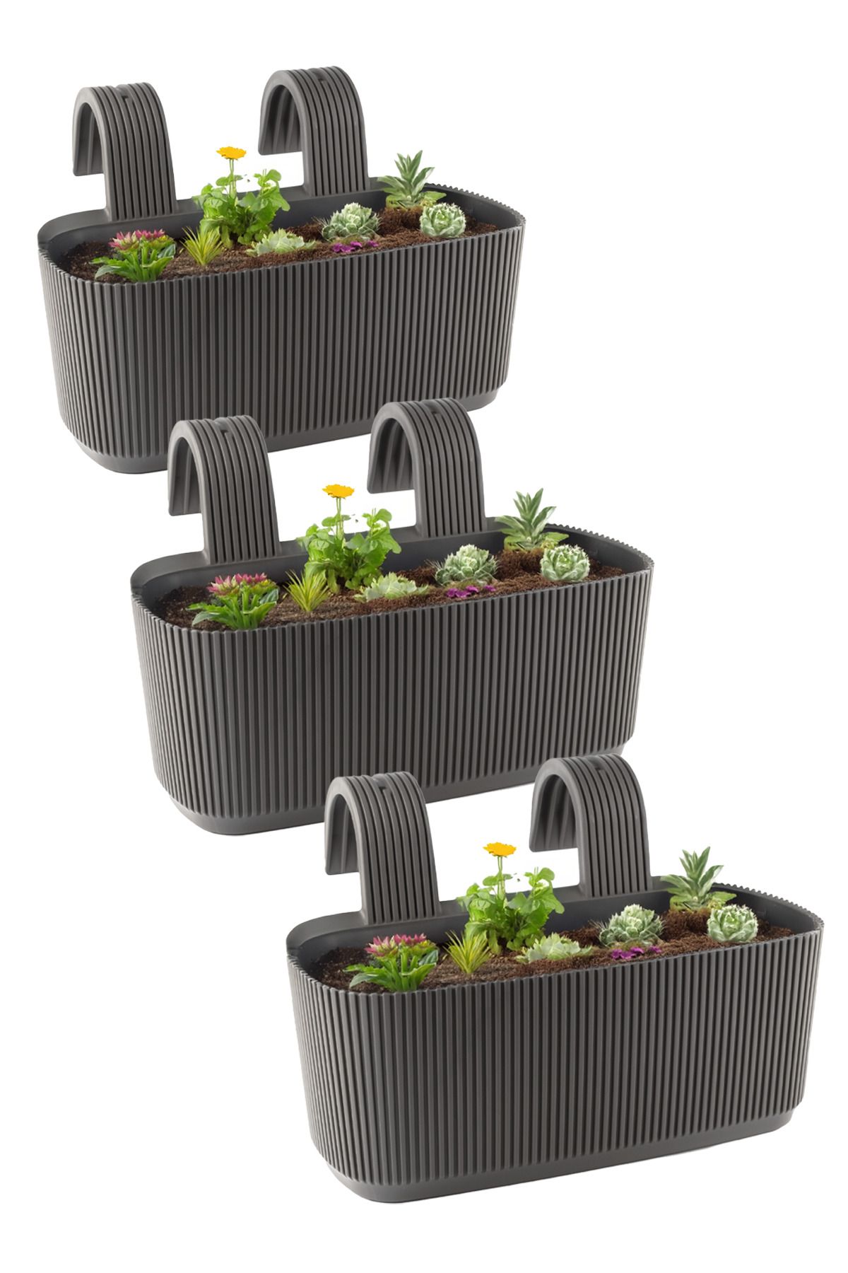 TEMMUZ HOME 3.2 Litre 3 Adet Askılı Balkon Saksısı