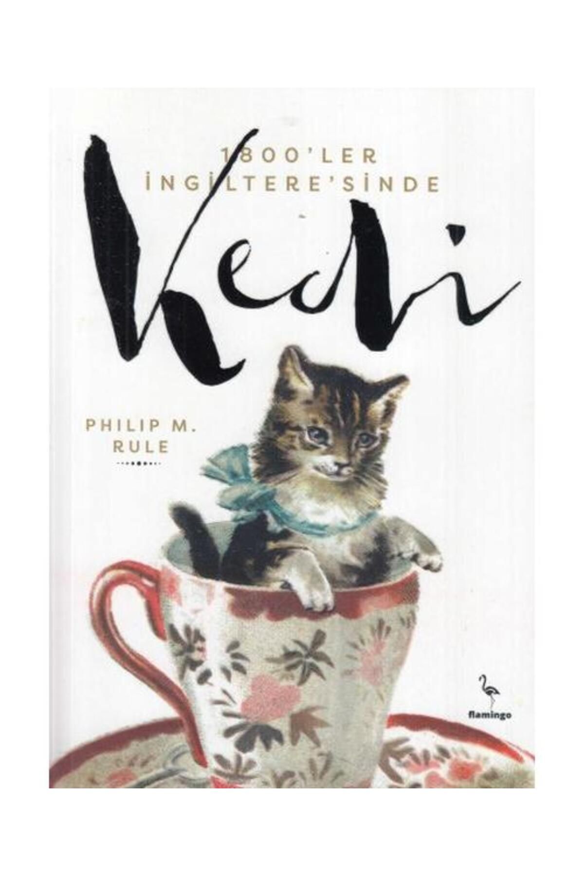 Flamingo Yayınları 1800'ler İngiltere'sinde Kedi / Flamingo Yayınları / Philip M. Rule