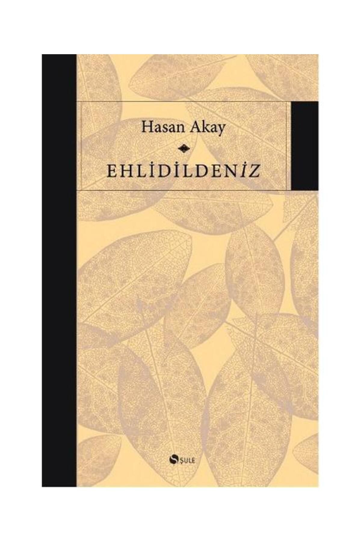 Şule Yayınları Ehlidildeniz / Şule Yayınları / Hasan Akay