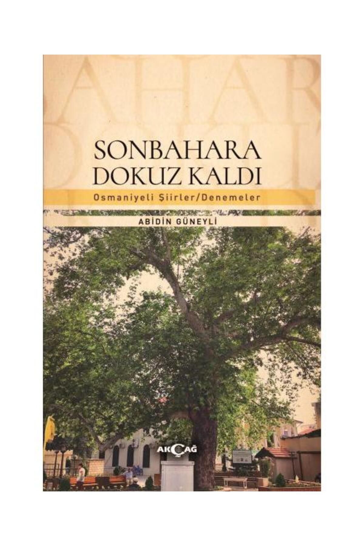Akçağ Yayınları Sonbahara Dokuz Kaldı / Akçağ Yayınları / Abidin Güneyli