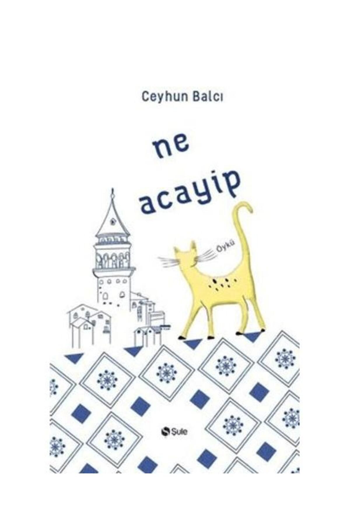 Şule Yayınları Ne Acayip / Şule Yayınları / Ceyhun Balcı