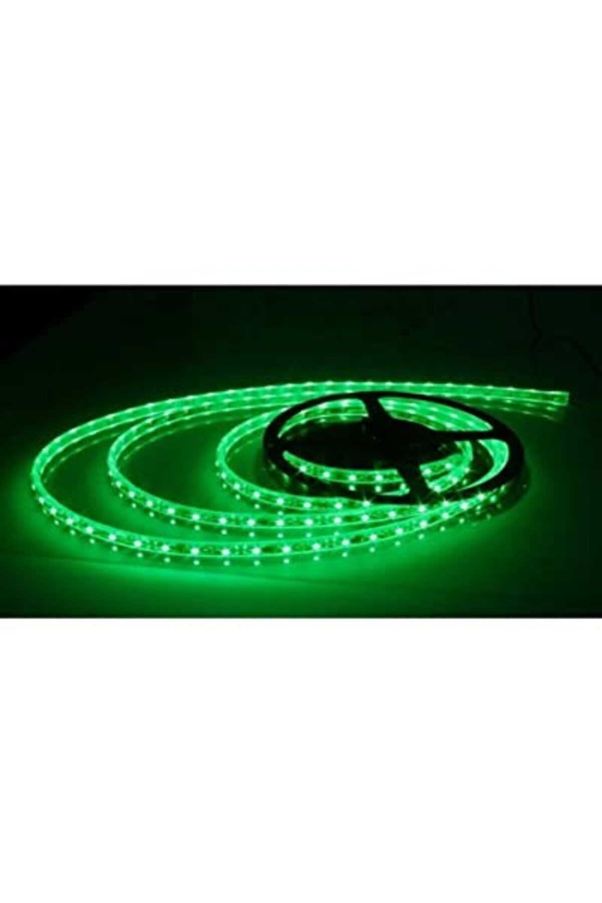 ShopZum 4040 Yeşil Şerit Led Iç Mekan – 5 Metre