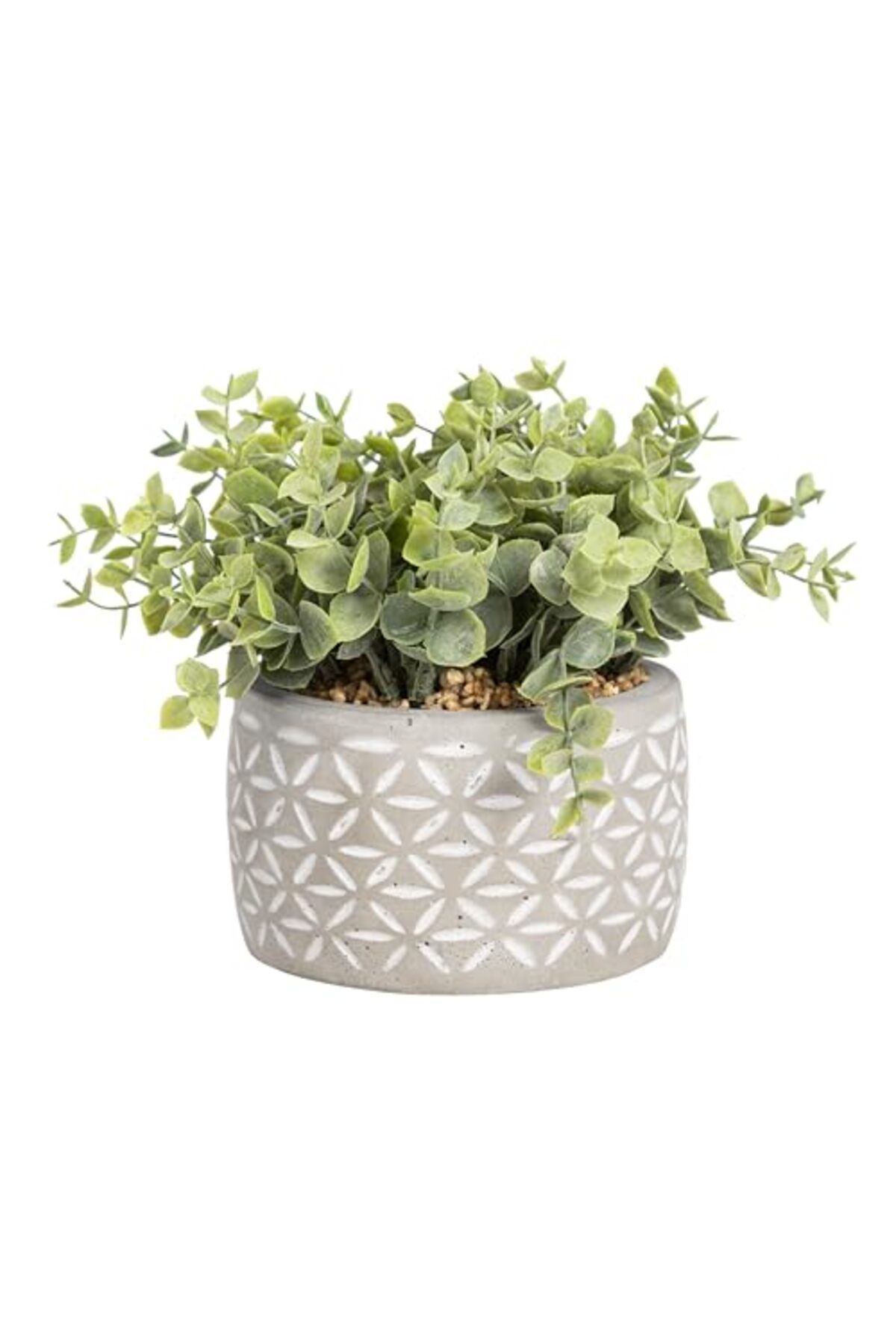 ShopZum Concept Midori Saksılı Yapay Bitki 12 X 20 Cm