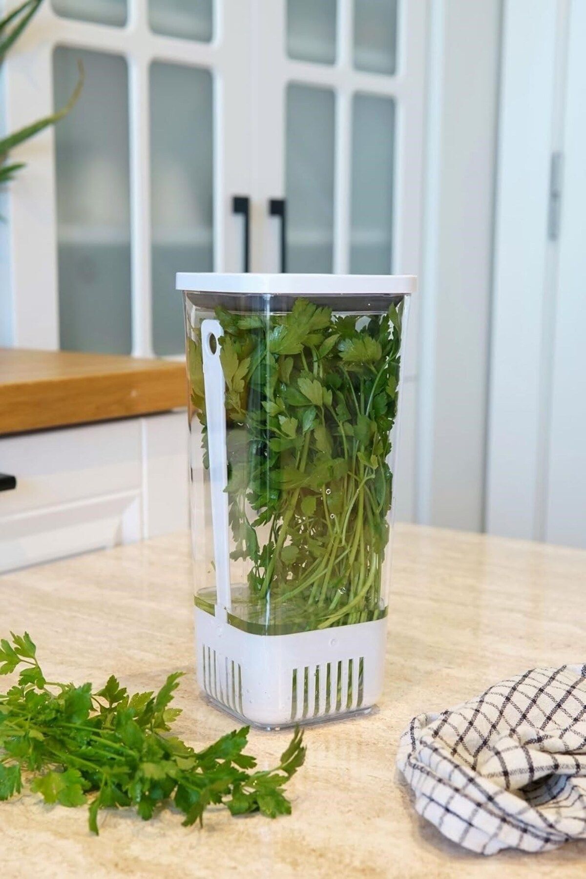 Technow VP-007 Suda Yeşillik Saklama Kabı 1700 ML