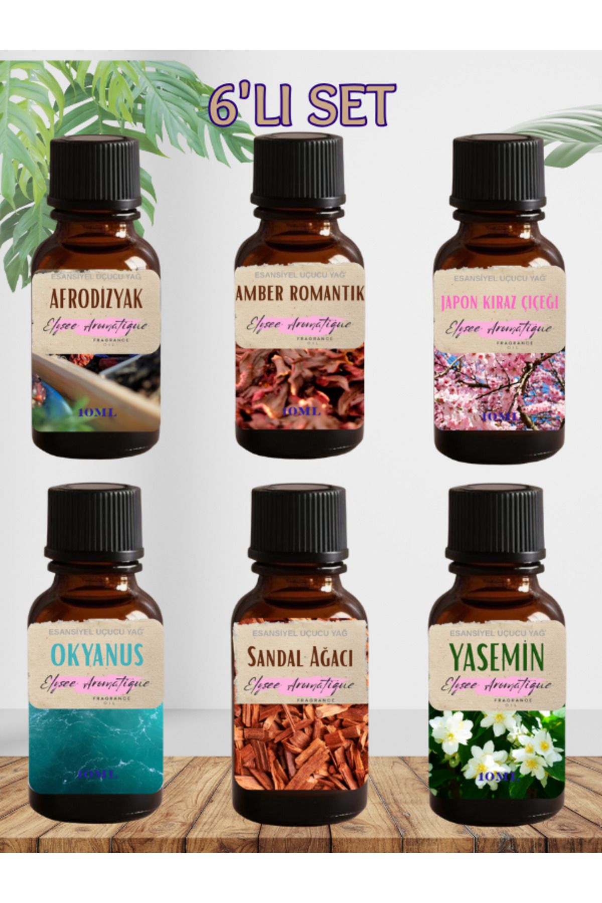 Elysee Aromatique 6'lı Set Esansiyel Uçucu Koku Yağı Difüzör Esansı Buhurdanlık Yağı Aromaterapi Yağı