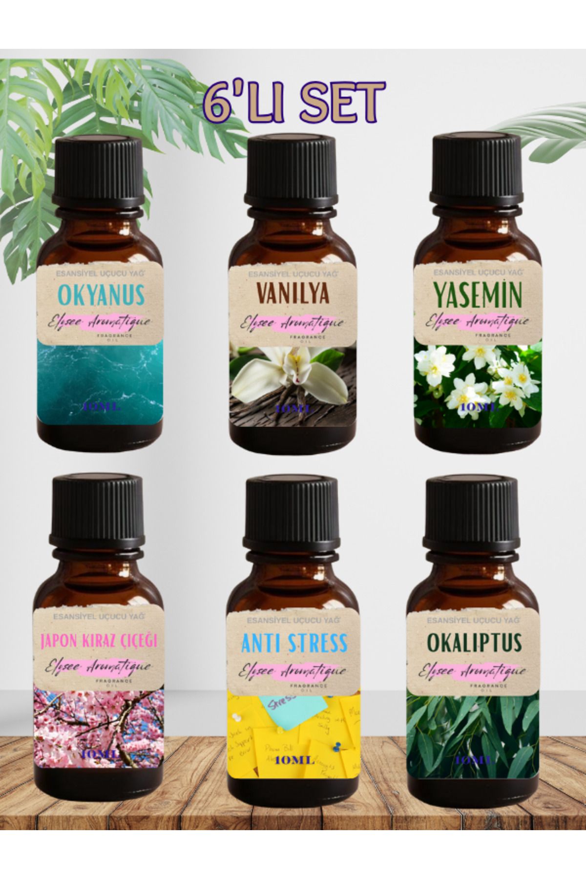 Elysee Aromatique 6'lı Set Esansiyel Uçucu Koku Yağı Difüzör Esansı Buhurdanlık Yağı Aromaterapi Yağı