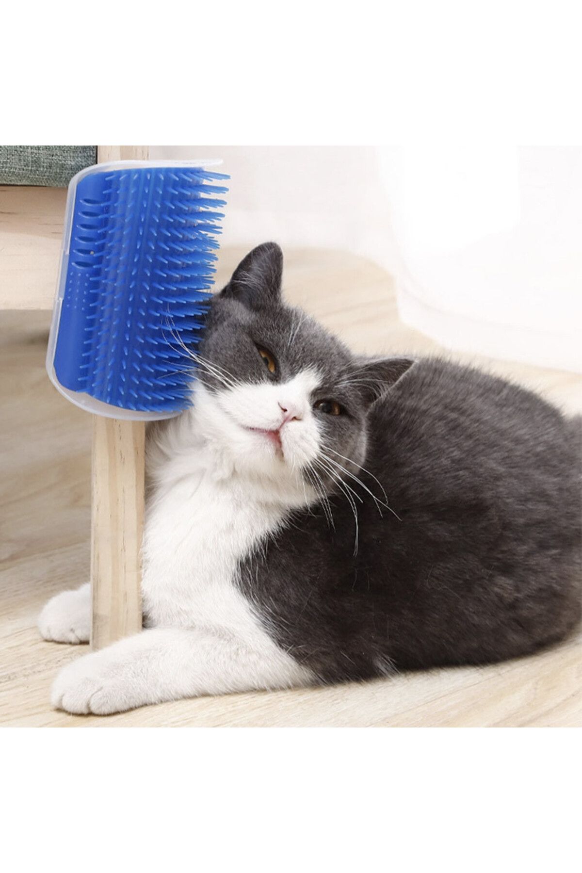 PUFO-Perie de masaj pentru pisici cu atașament pentru perete sau colț de mobilier, include o pungă cu catnip, albastră 6