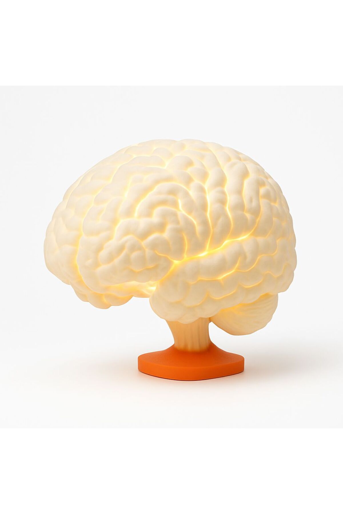 Fibrika Store Brain Lamp – Gerçek Ölçekli Beyin Şeklinde Masa Lambası