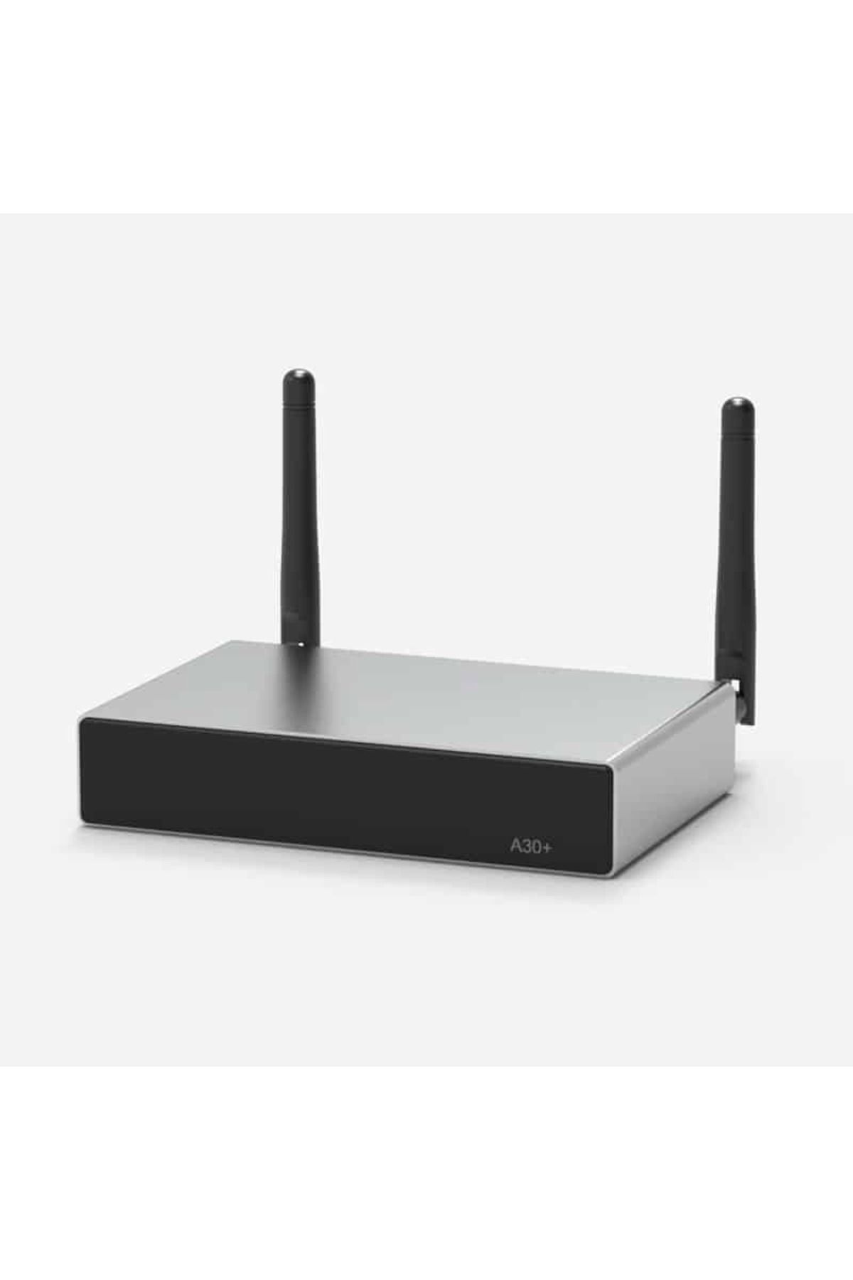 Bose-System with black Bose FreeSpace FS2P Hanging Speakers and Arylic A30+ Wi-Fi amplifier 2