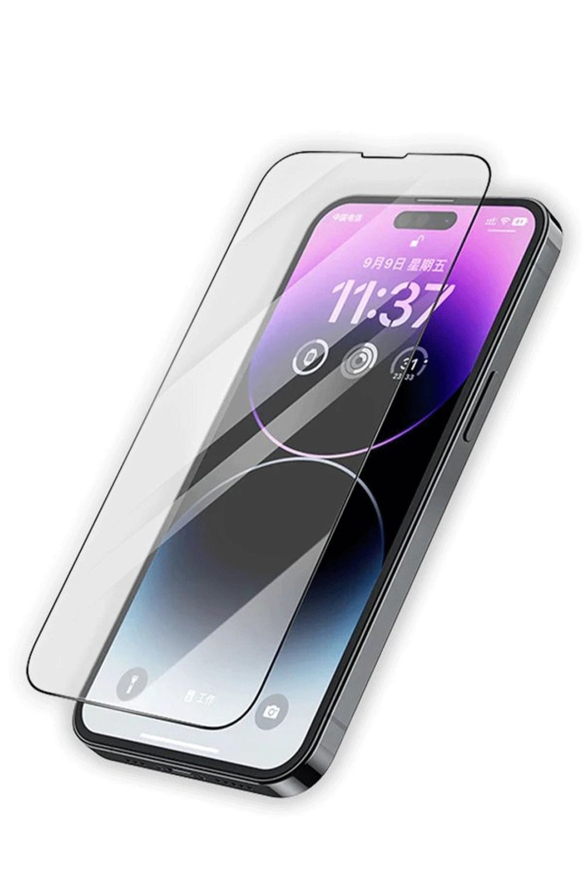NewFace Samsung Galaxy S25 Plus Pasifik Cam Ekran Koruyucu ALMLA