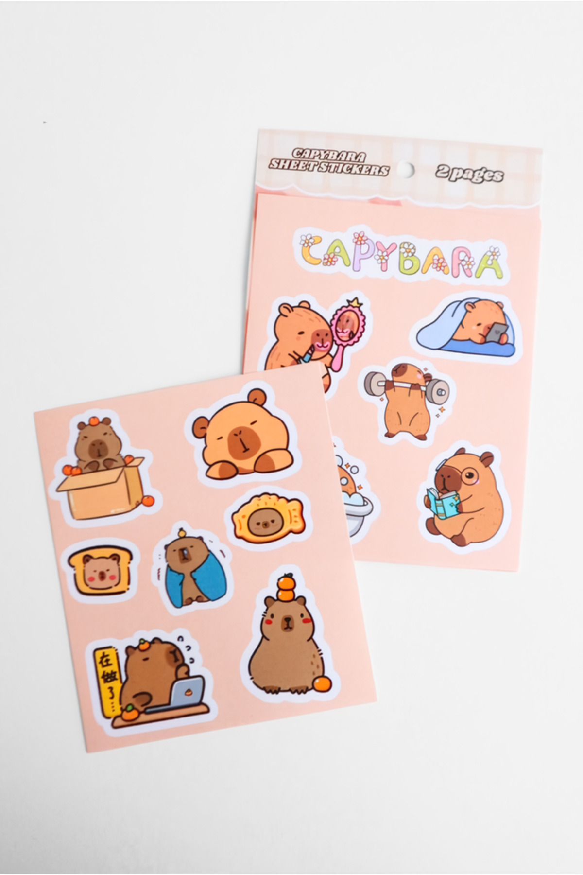 EFBUTİK Capybara 2'li Sticker Set