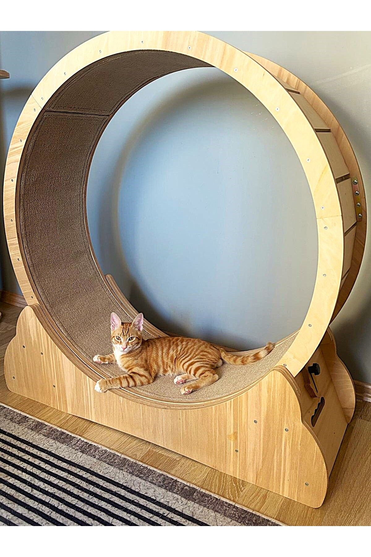 Zeyn Kedi ve Küçük Irk Köpek Egzersiz Çarkı, Kedi Koşu Tekeri, Kedi Koşu Bandı, Çap 100CM (Demonte)