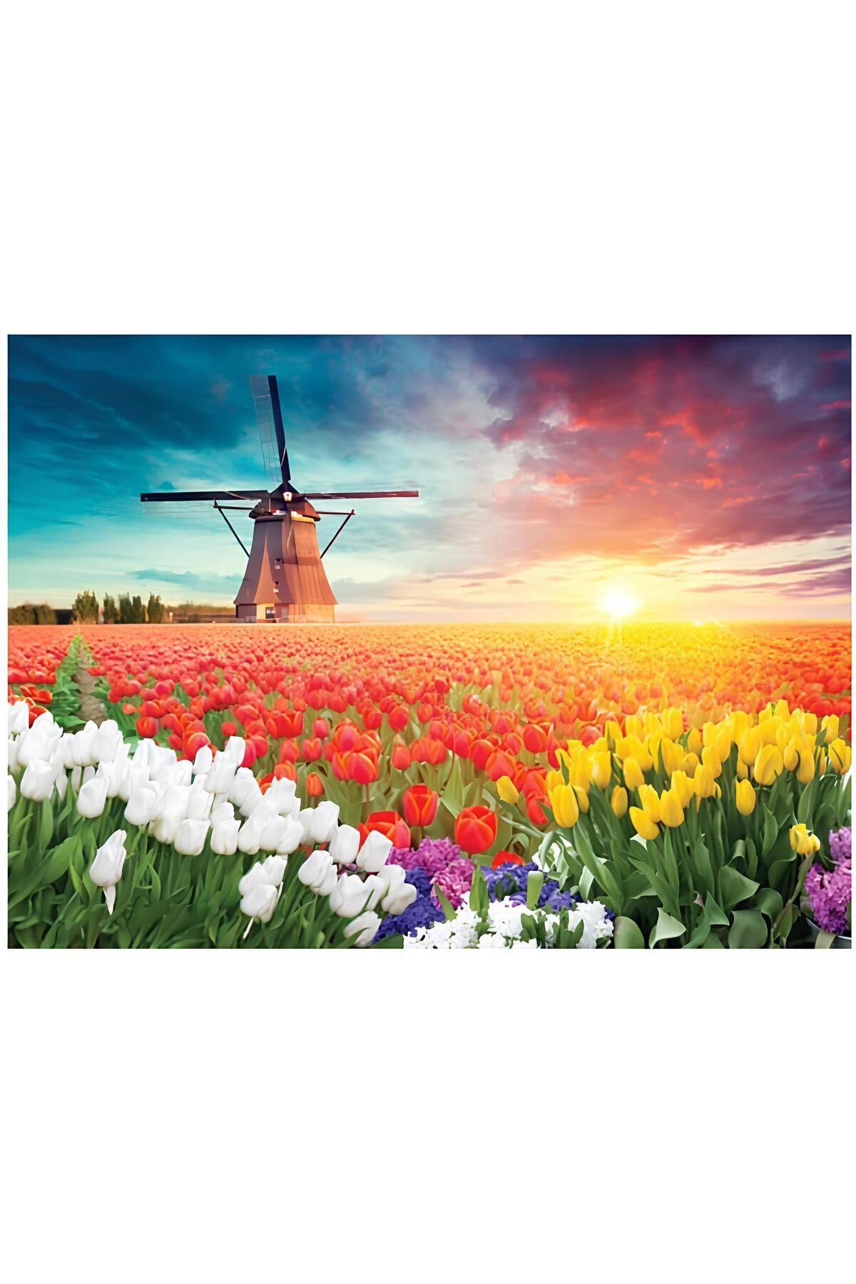 KILIÇASLAN SHOP BLUE FOCUS 1000 PARÇA PUZZLE YEL DEĞİRMENİ