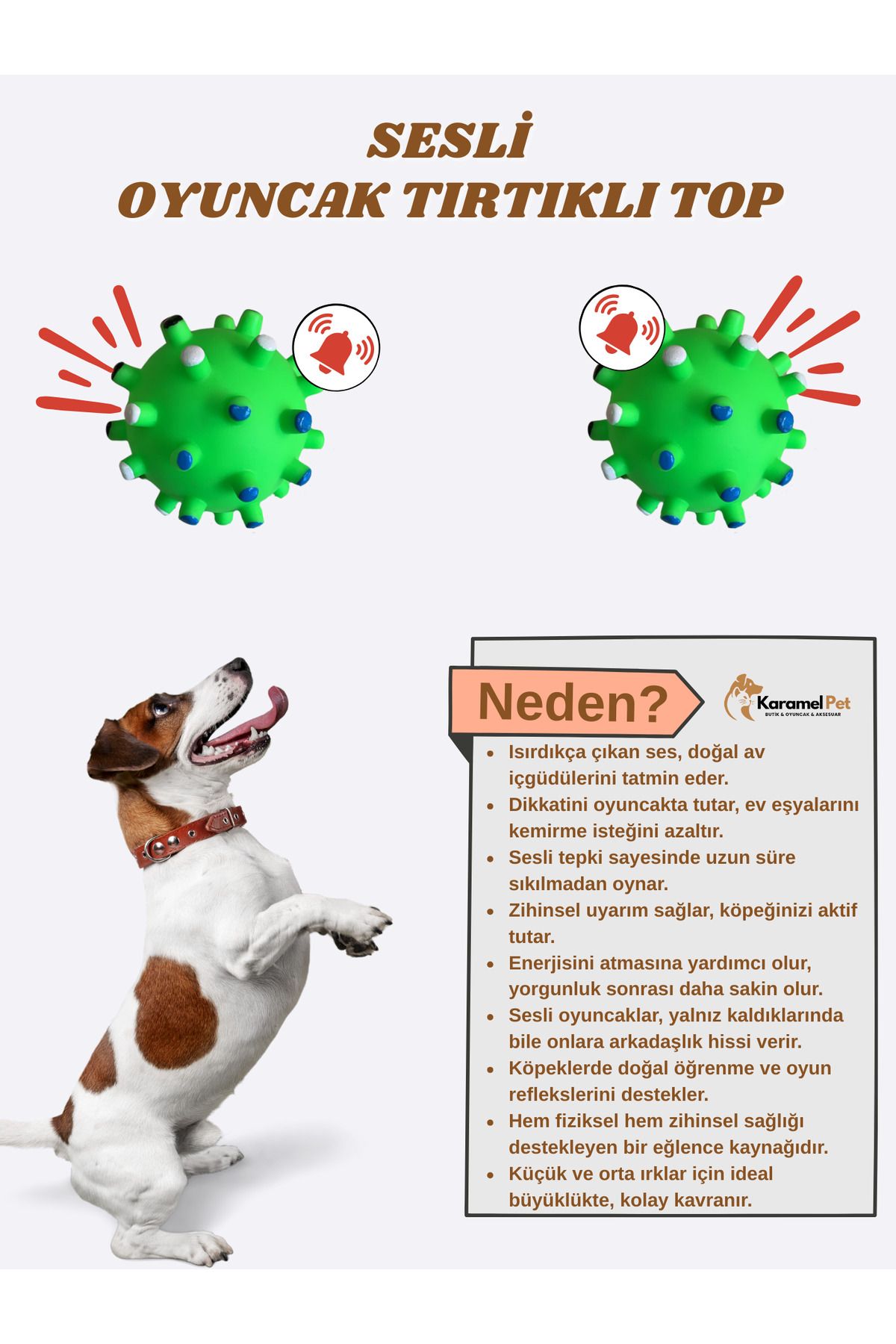 Cans Kedi Köpek Evcil Hayvan Sesli Oyuncak - Diş Kaşıyıcı, Stres Azaltıcı ve Dayanıklı Tasarım