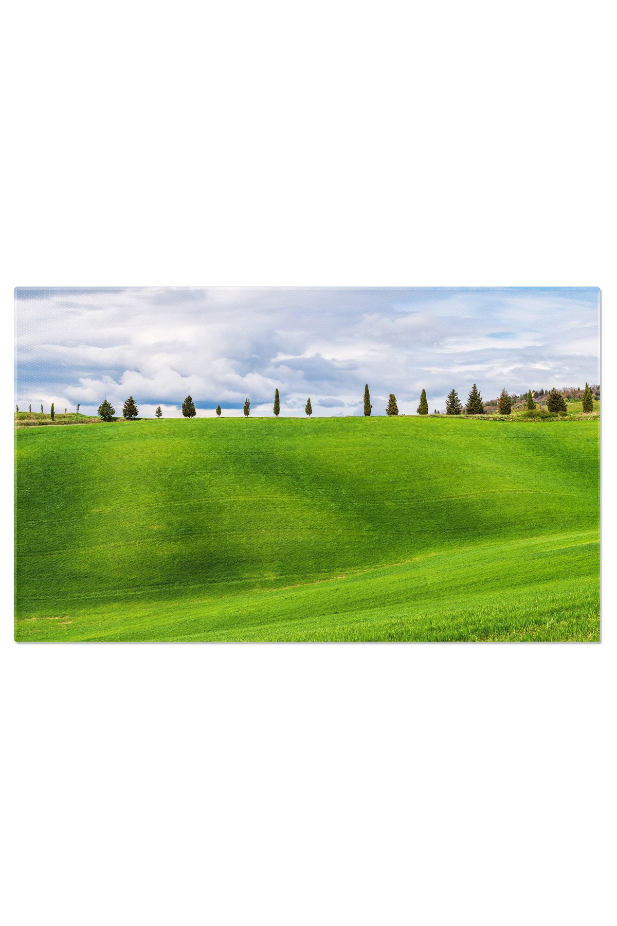StoryGift Romania Tablou Canvas Toscana: Farmecul Rural Al Italiei - 40 x 25