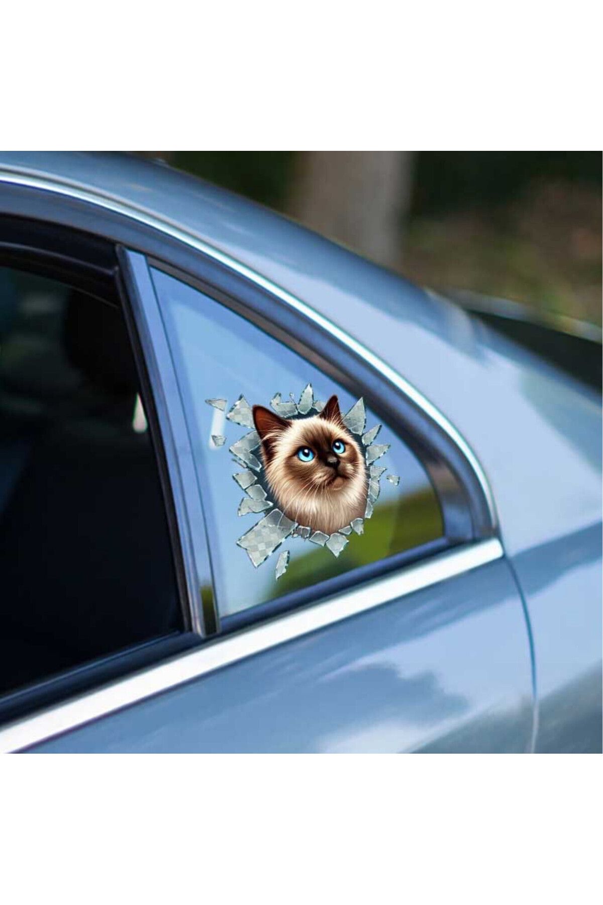 differenthome Fulcar Siamesse Araç Stickerı