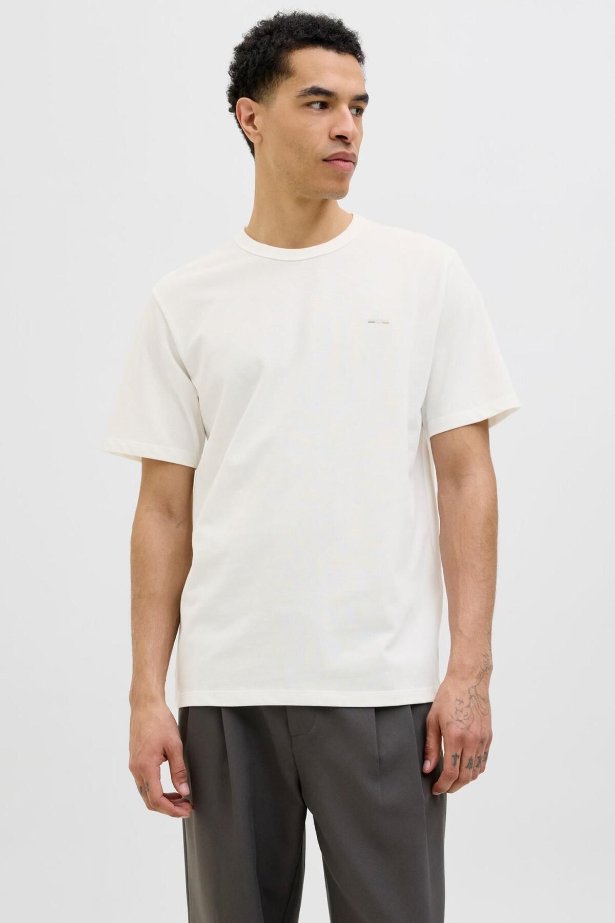 Jack & Jones 12276801 Jprblualves Ss Tee Erkek T-Shirt