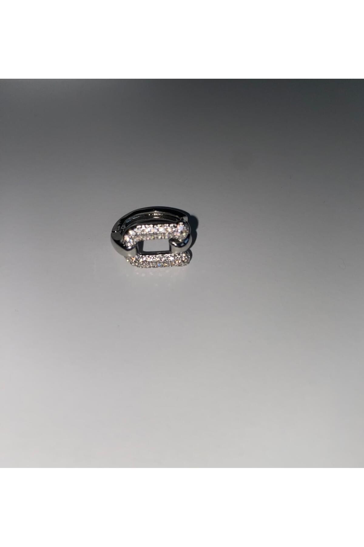 Vaseco company Silver horseshoe-küpe