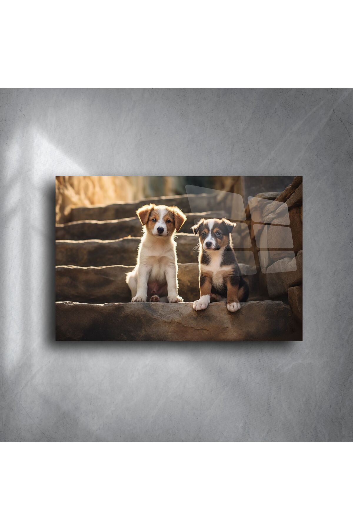 LEYLASER Doğal Işıklı Merdivende İki Yavru Köpek Metal Tablo