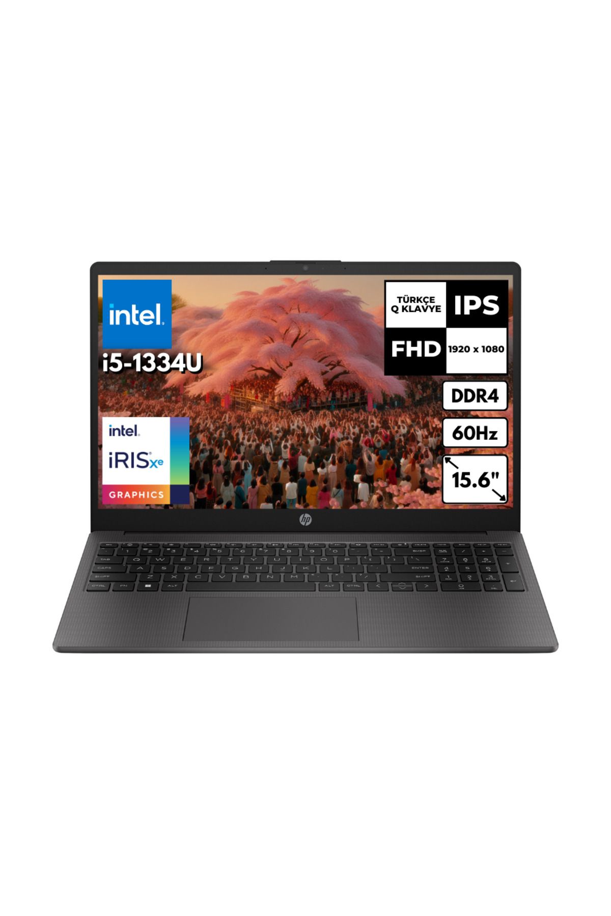 HP 250 G10 i5-1334U 20GB 256 GBSSD Iris Xe Graphics 15.6" FHD Windows 11 Home Notebook B2NC9ESHMF4