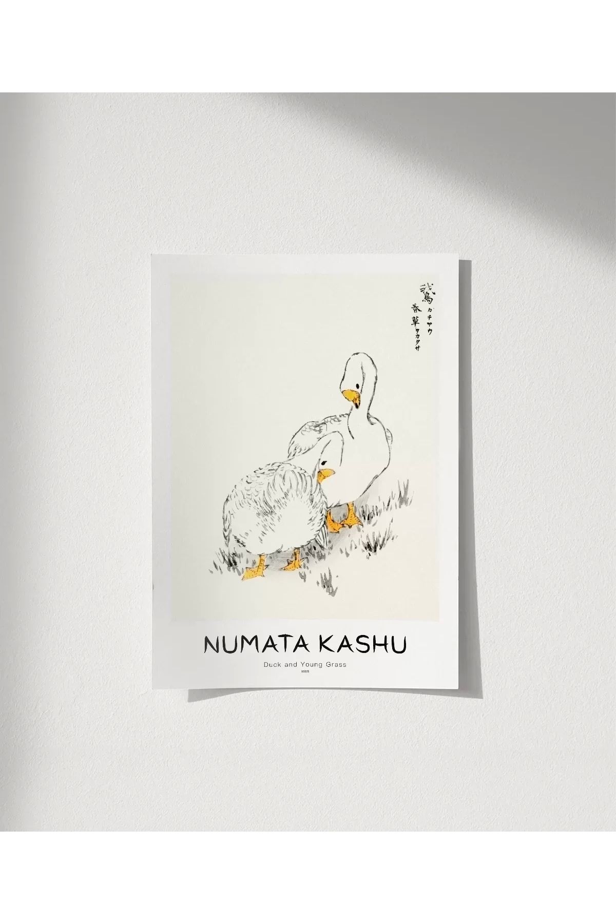 VOGLOO Çerçevesiz Poster Numata Kashu Ördekler ve Çimen