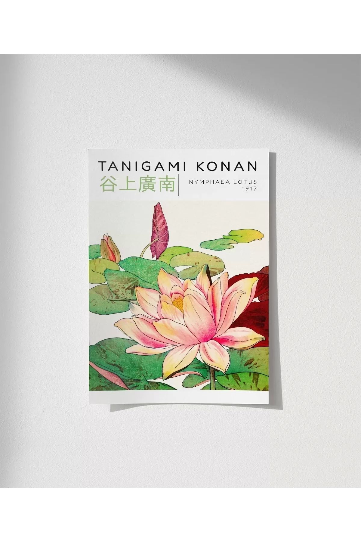 VOGLOO Çerçevesiz Poster Tanigami Konan Nymphaea Lotus