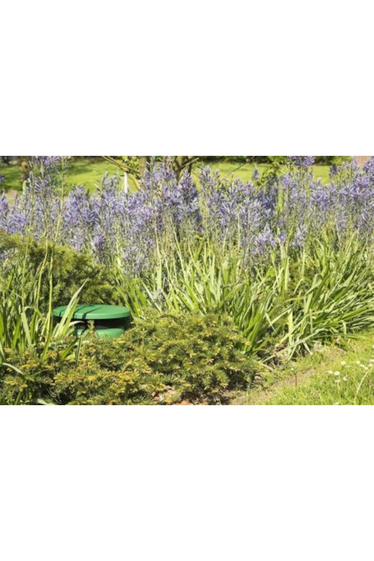 Audiosat-DAP GS-630 garden speaker set with bluetooth amplifier, USB, FM 2