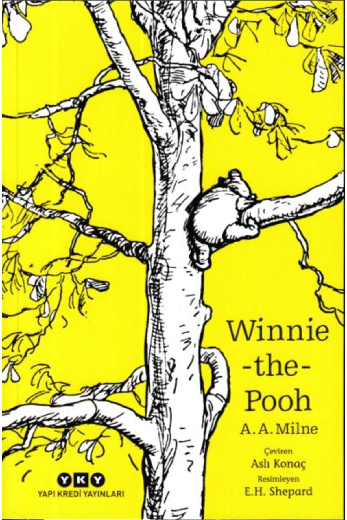 Destek Yayınları Winnie the Pooh