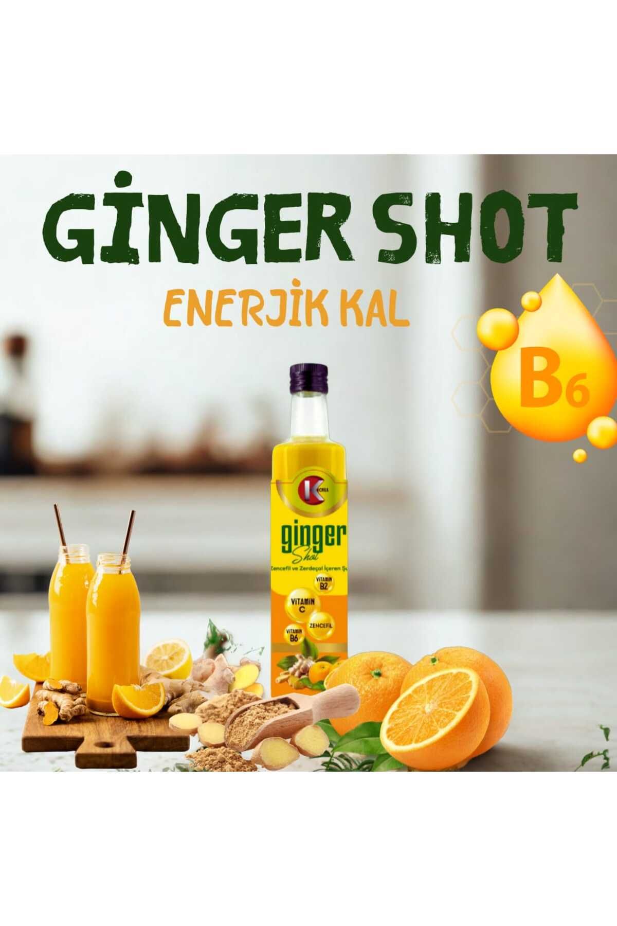 KONŞENAY GİNGER