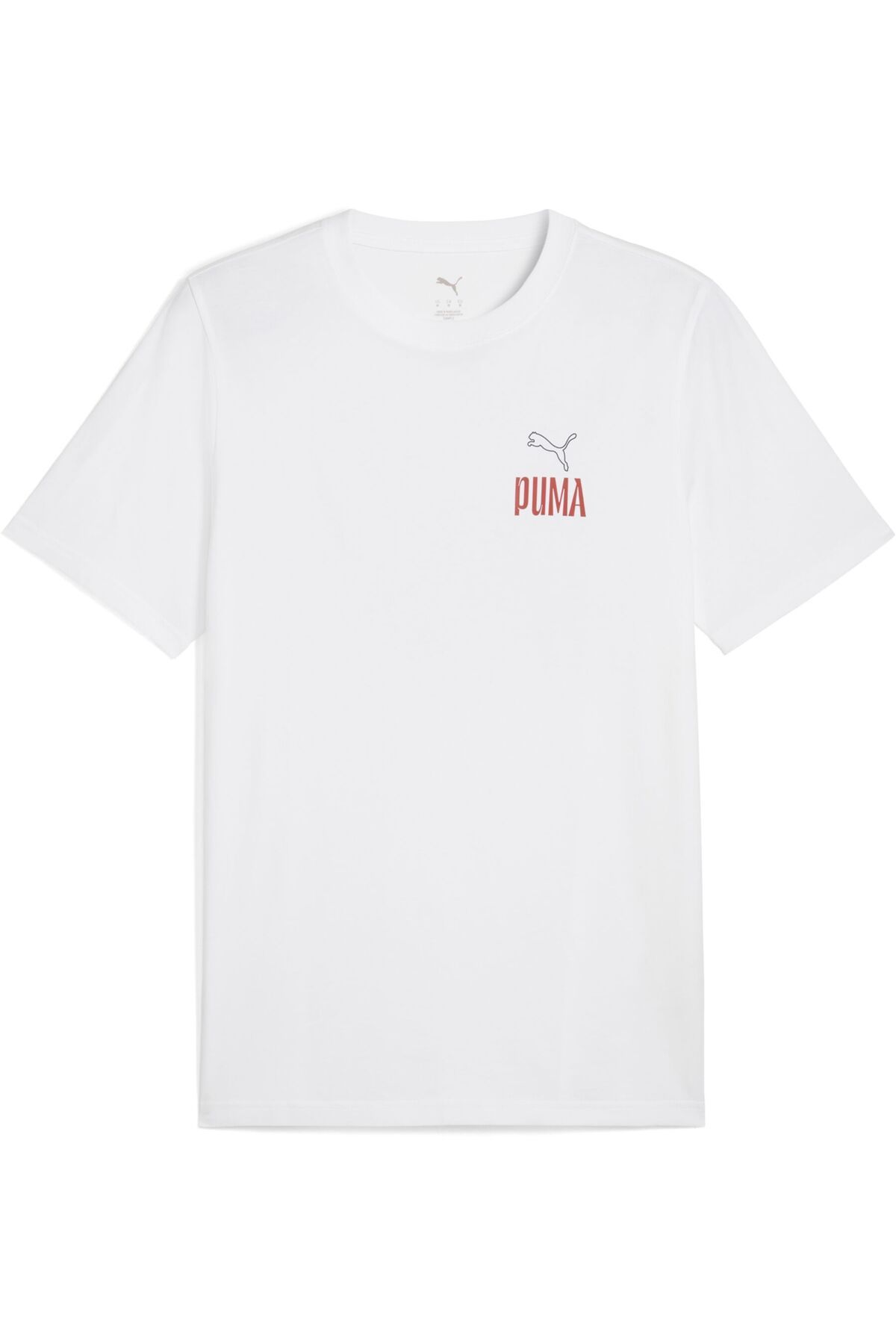 Puma-Ανδρικό μπλουζάκι με γραφικά "Road To Unity Values" 5