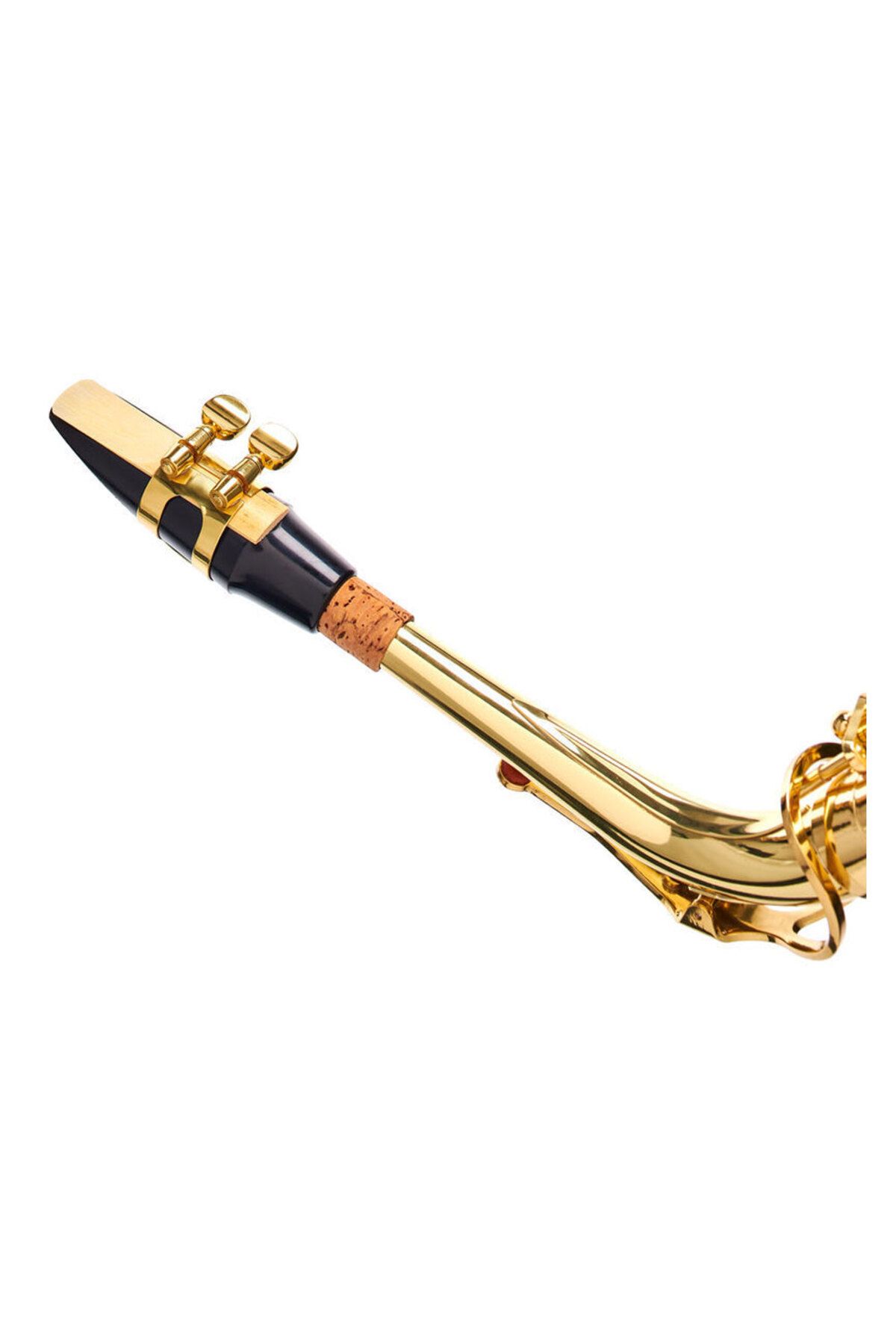 Startone-Alto Saxophone Startone SAS 75 6