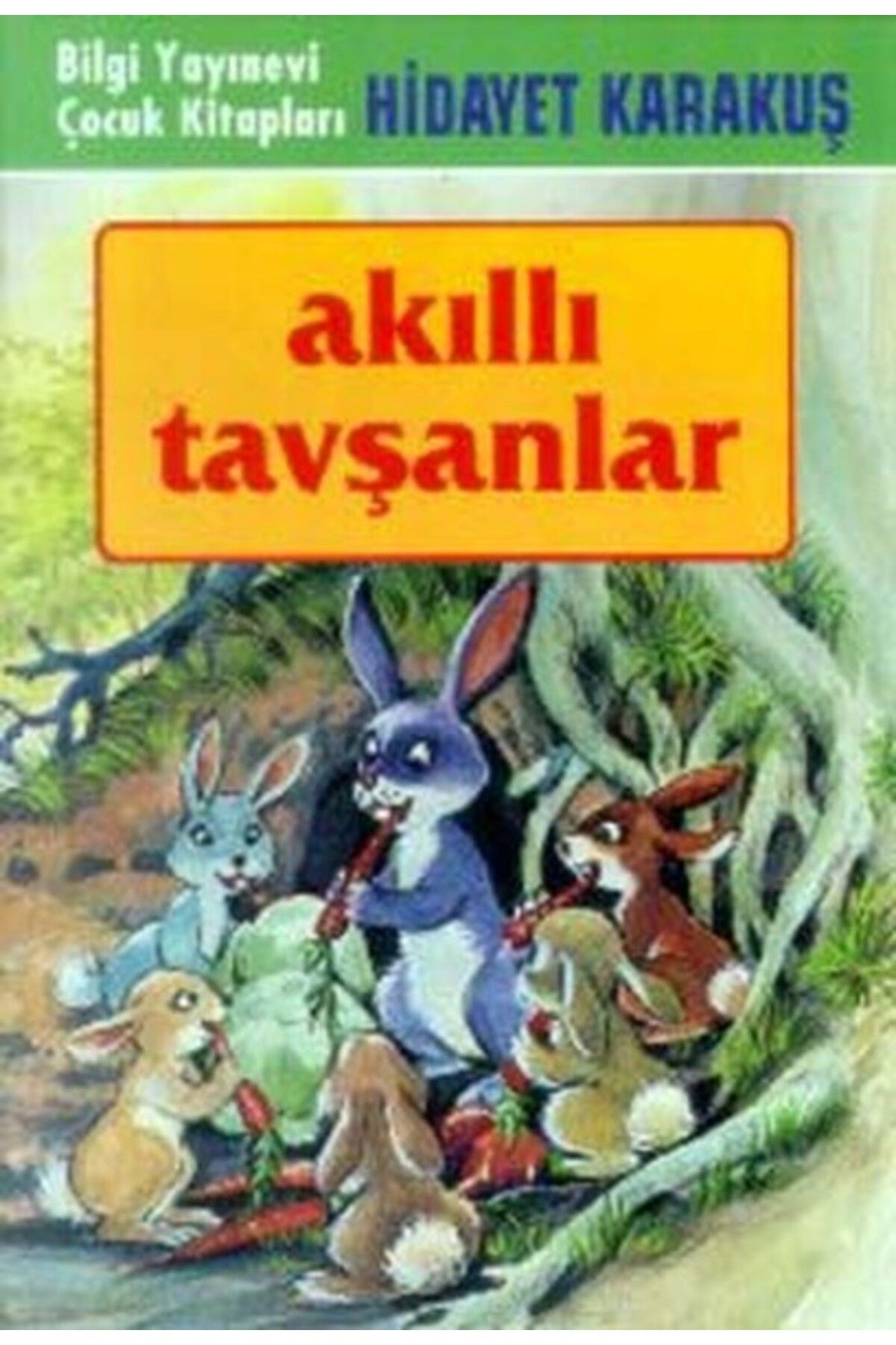Bilgi Yayınevi Akıllı Tavşanlar