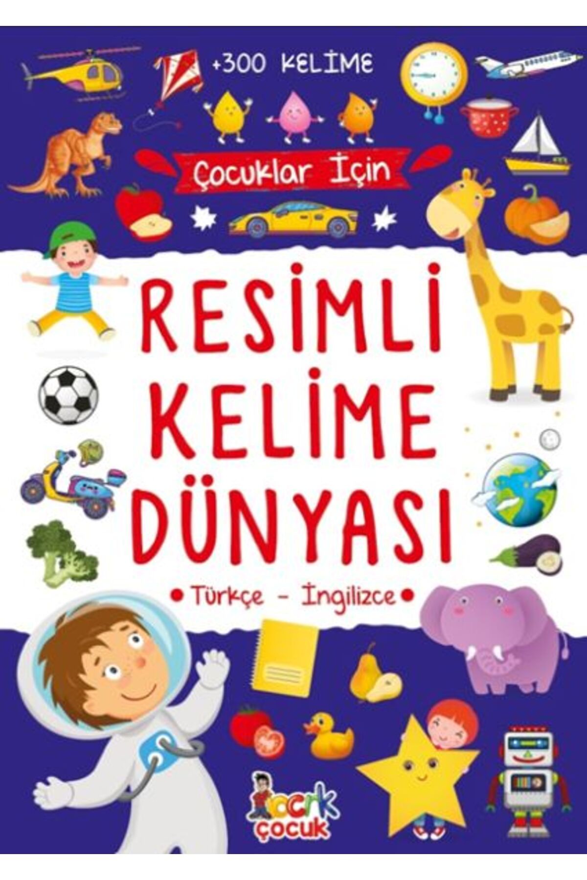 Bıcırık Yayınları Resimli Kelime Dünyası