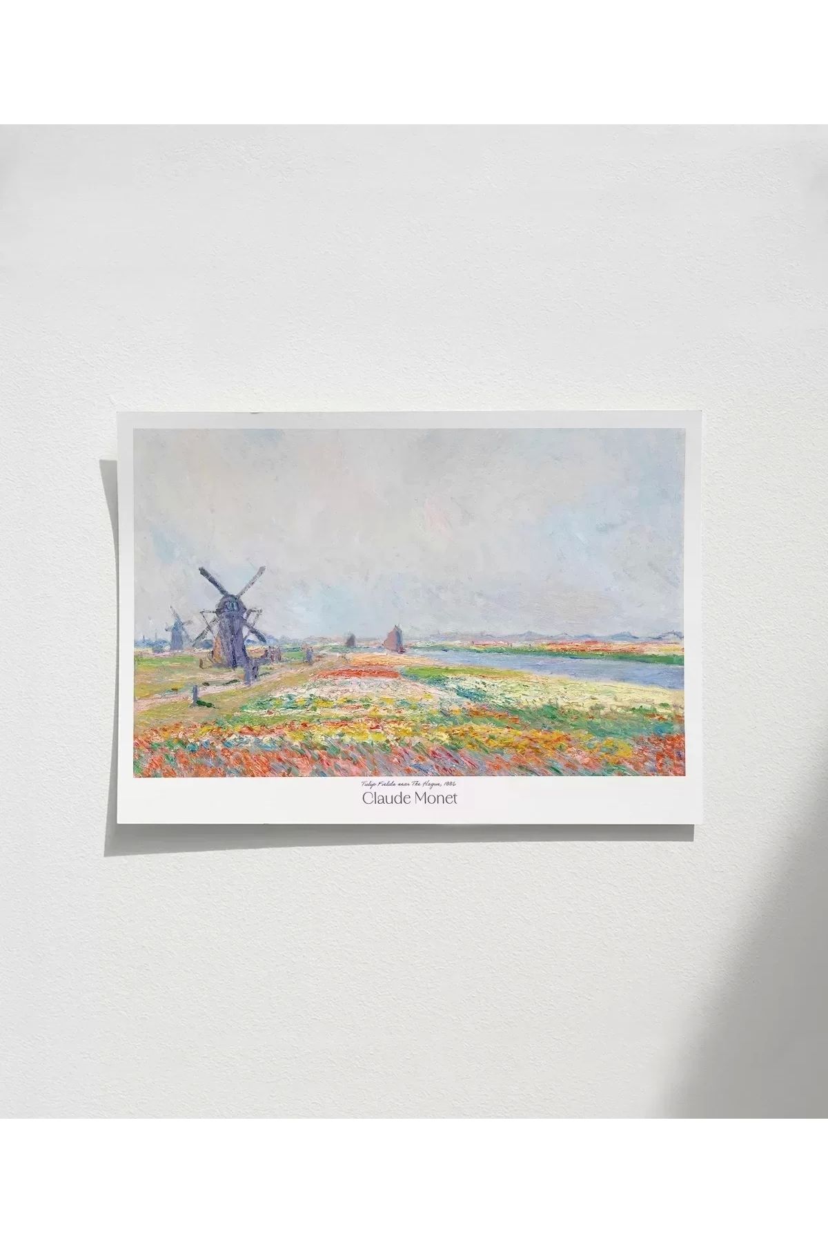 VOGLOO Çerçevesiz Poster Claude Monet Hadue Yakınlarında Lale bahçeleri