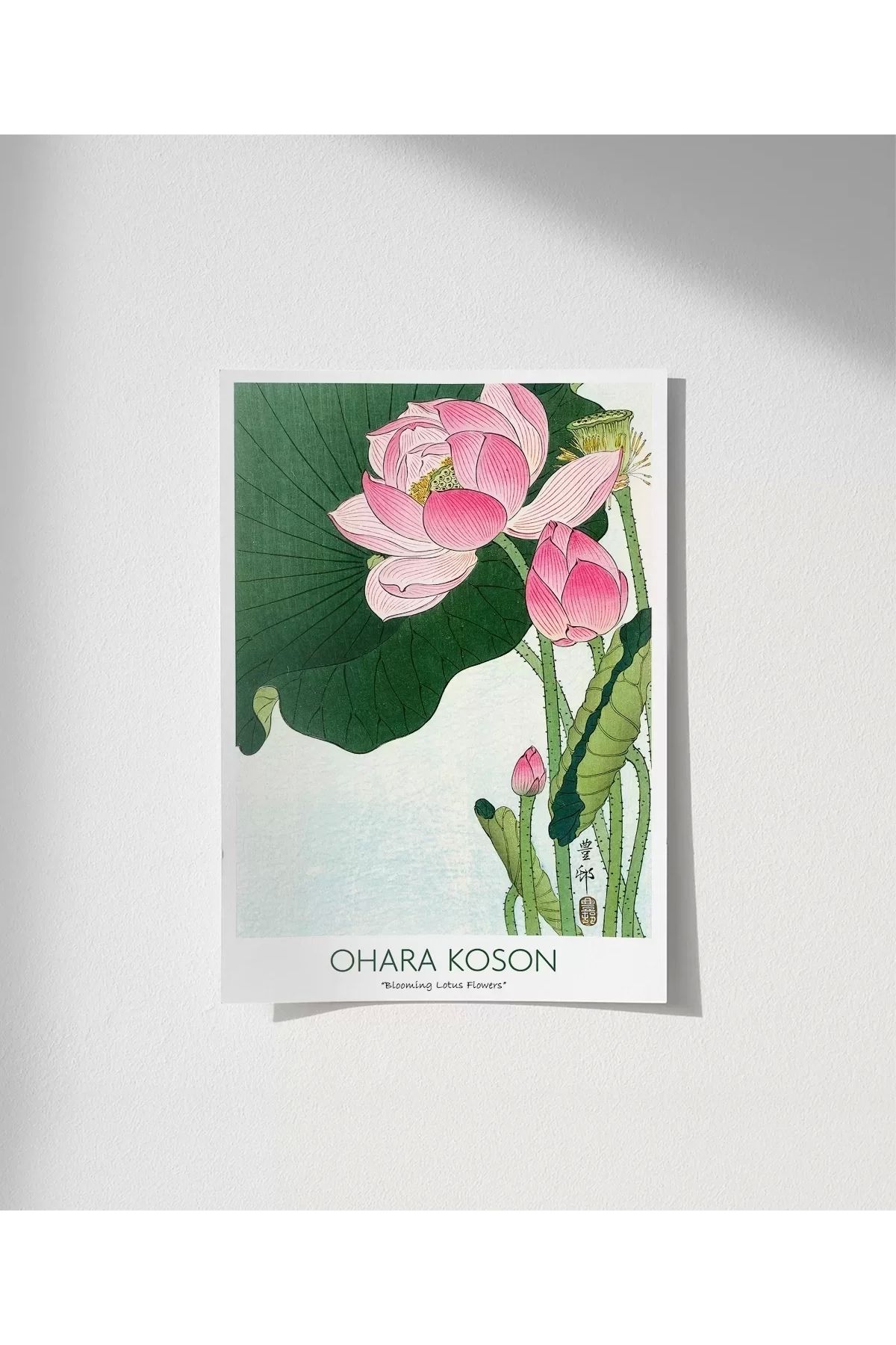 VOGLOO Çerçevesiz Poster Ohara Koson Çiçek Açan Lotus Çiçekleri 3