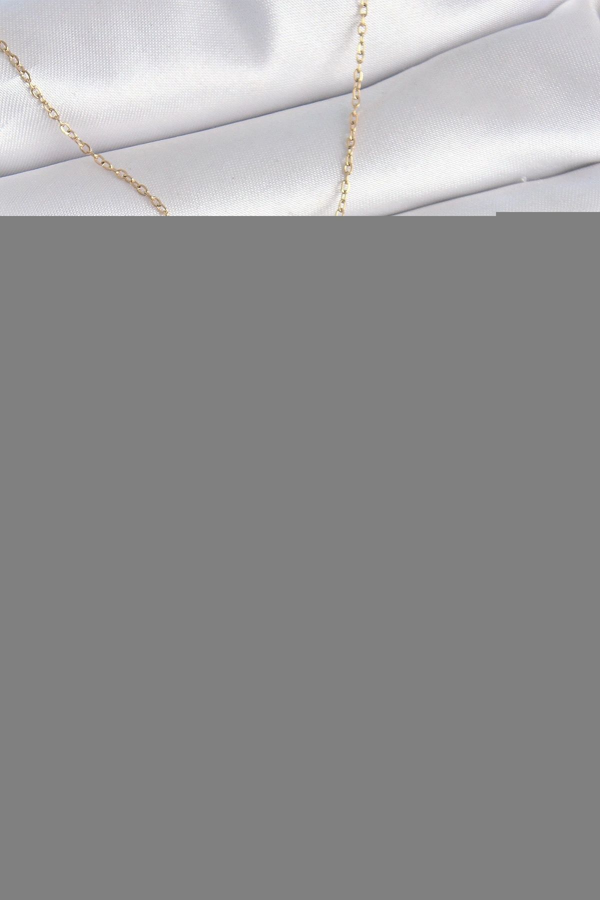 Clariss 316L Çelik Gold Renk Zincir Zirkon Taşlı Y Model Dekolte Kadın Kolye