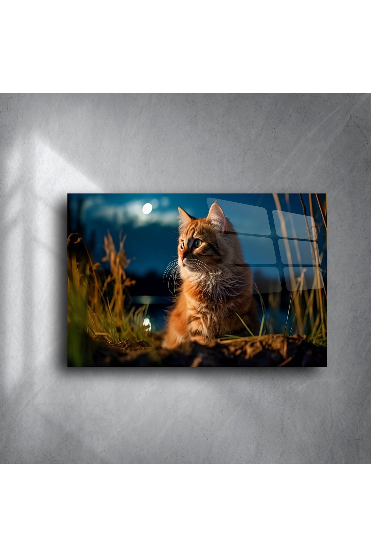 LEYLASER Kedi Temalı Temperli Cam Duvar Tablosu