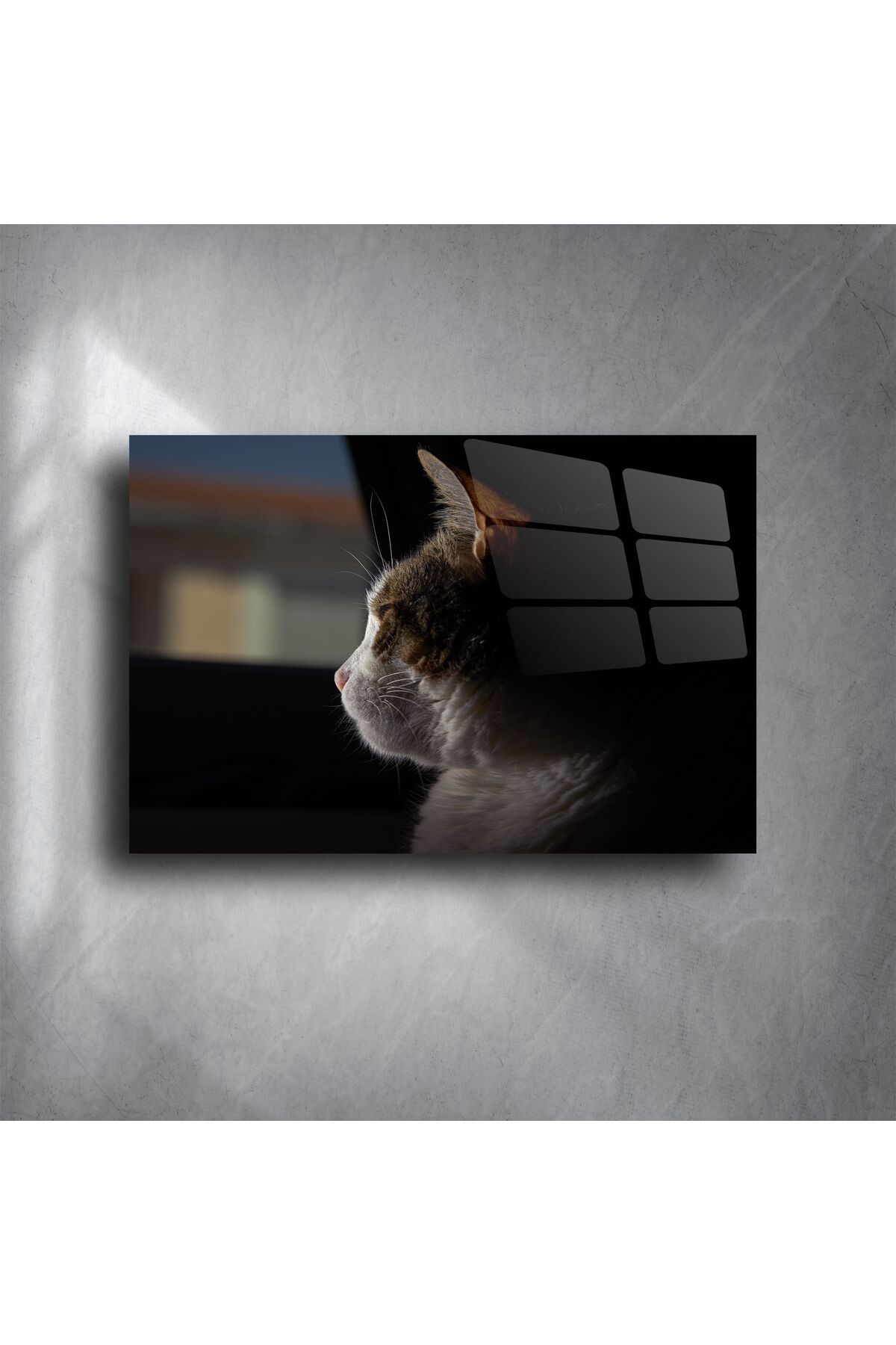 LEYLASER Pencereden Bakan Kedi Cam Tablo