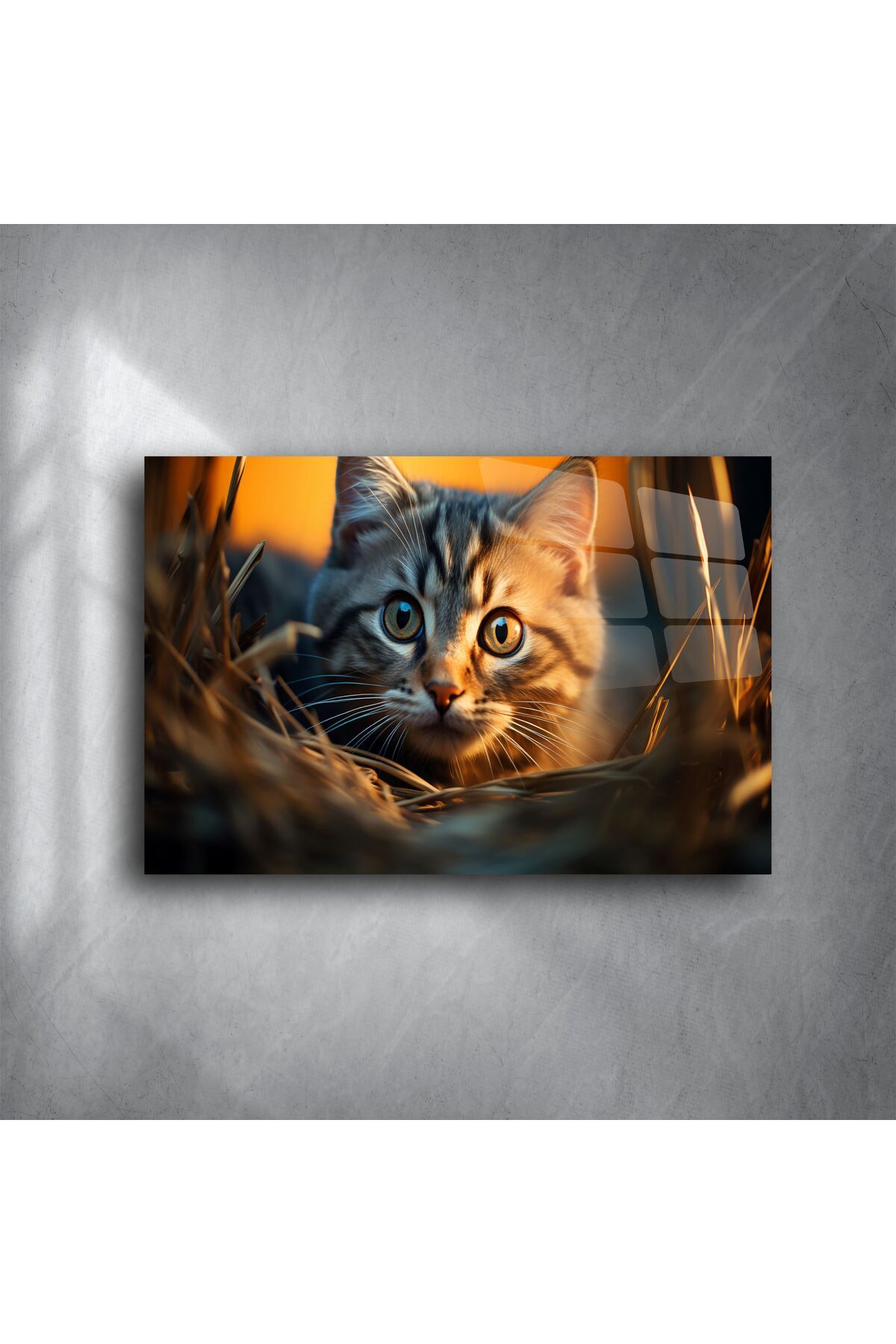 LEYLASER Yakın Plan Kedi Temalı Cam Tablo