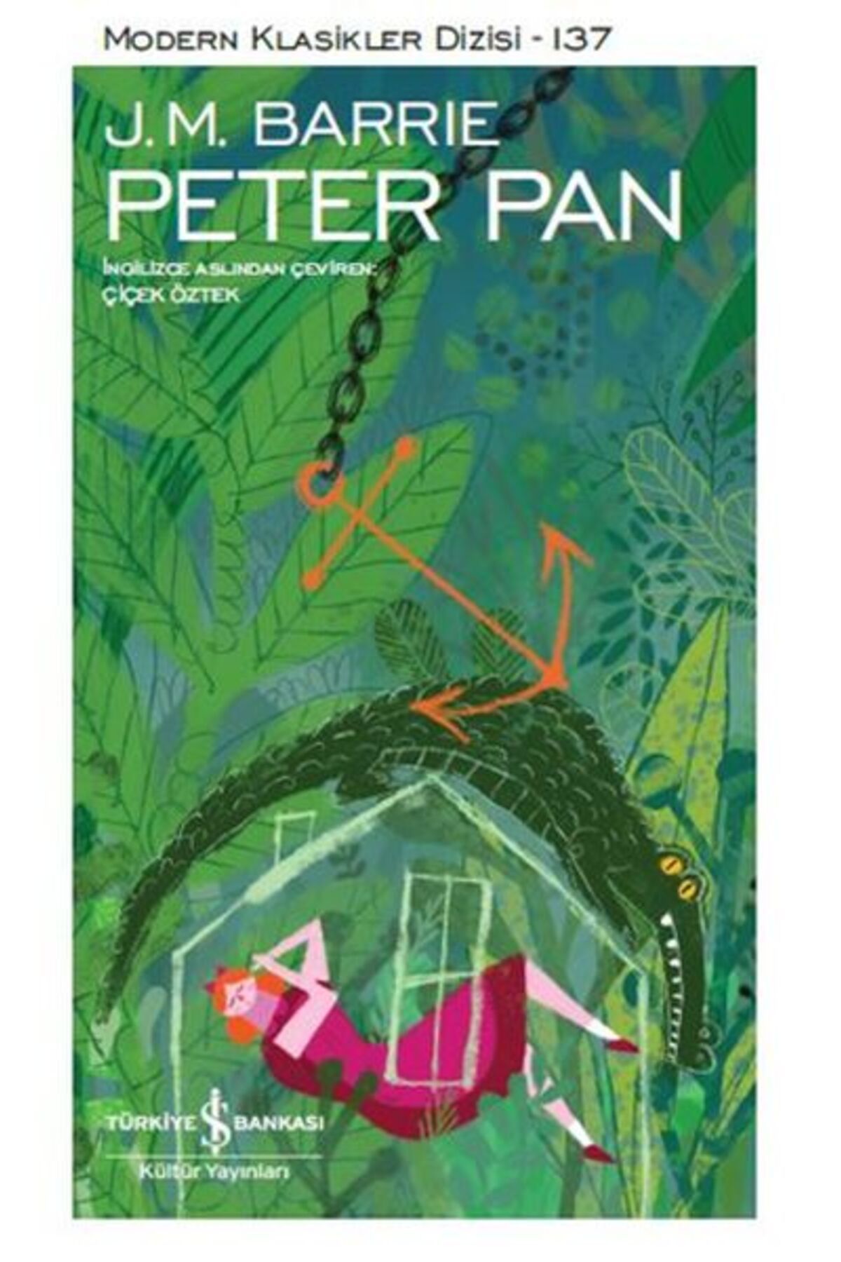 Destek Yayınları Peter Pan Modern Klasikler Dizisi