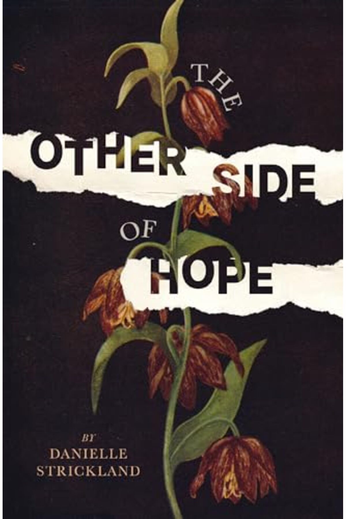 Thomas Nelson-The Other Side Of Hope Flipping The Script On Cynicism And Despair And Rediscovering Our Humanity 1