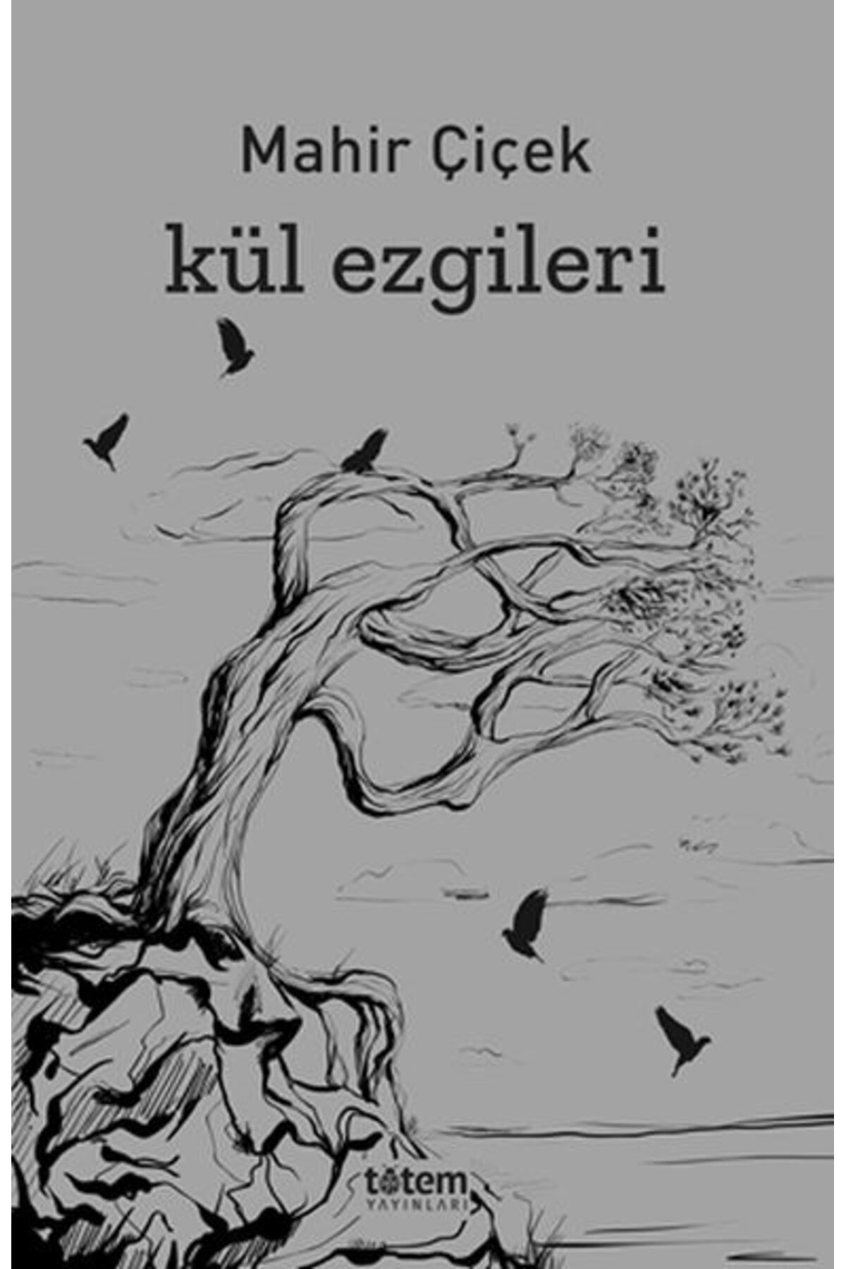 Destek Yayınları Kül Ezgileri