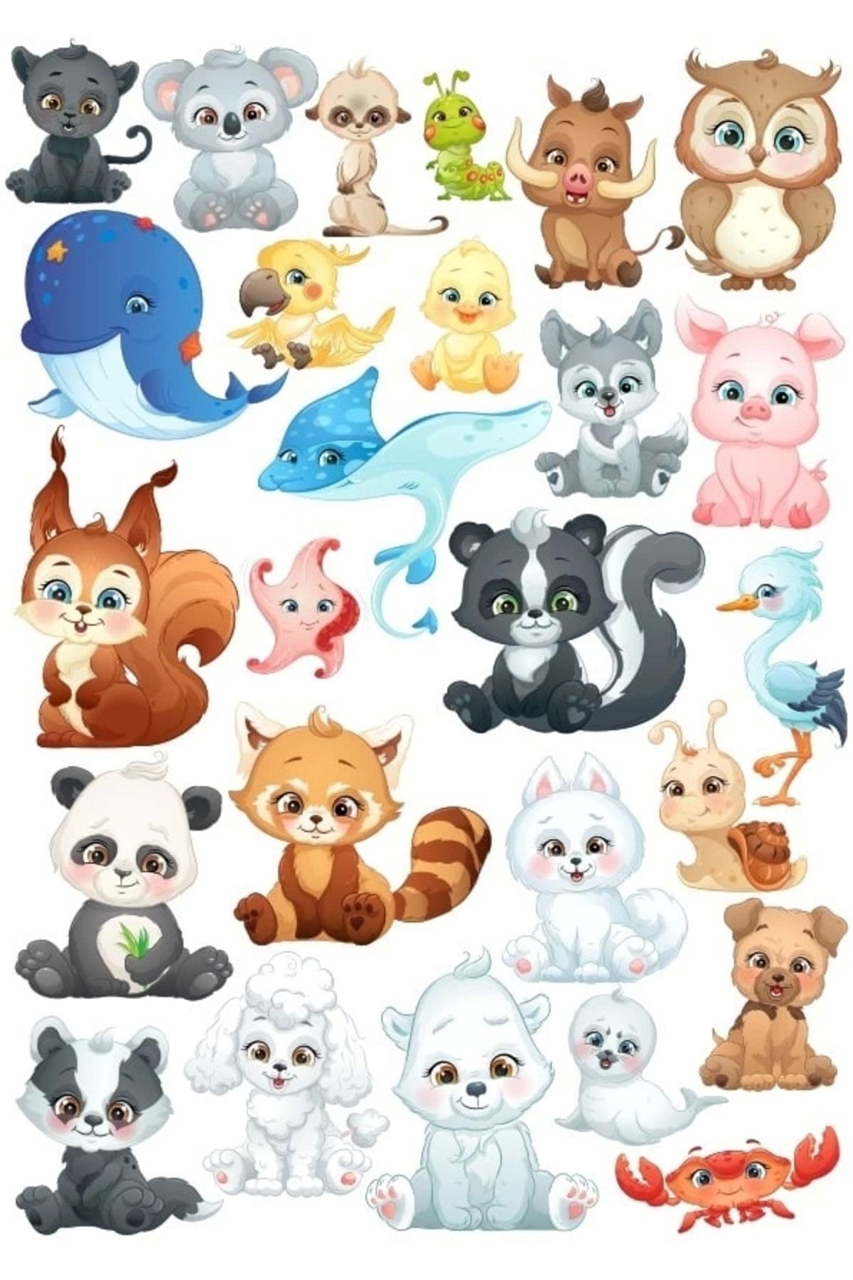 Reysa Tasarım Sevimli Deniz Hayvanları ve Hayvanlar Sticker Set 1