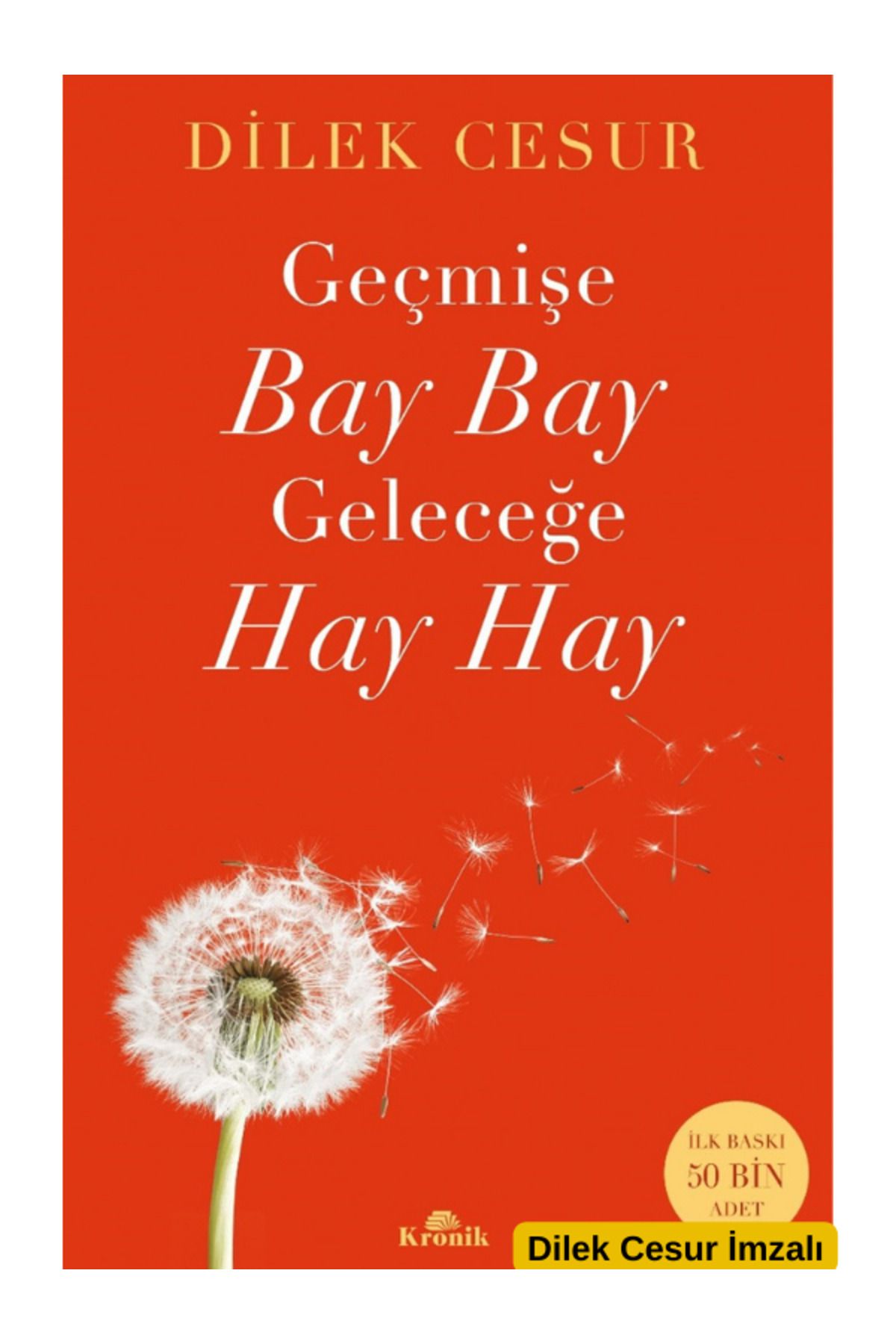 Kronik Kitap Geçmişe Bay Bay, Geleceğe Hay Hay Dilek Cesur imzalı