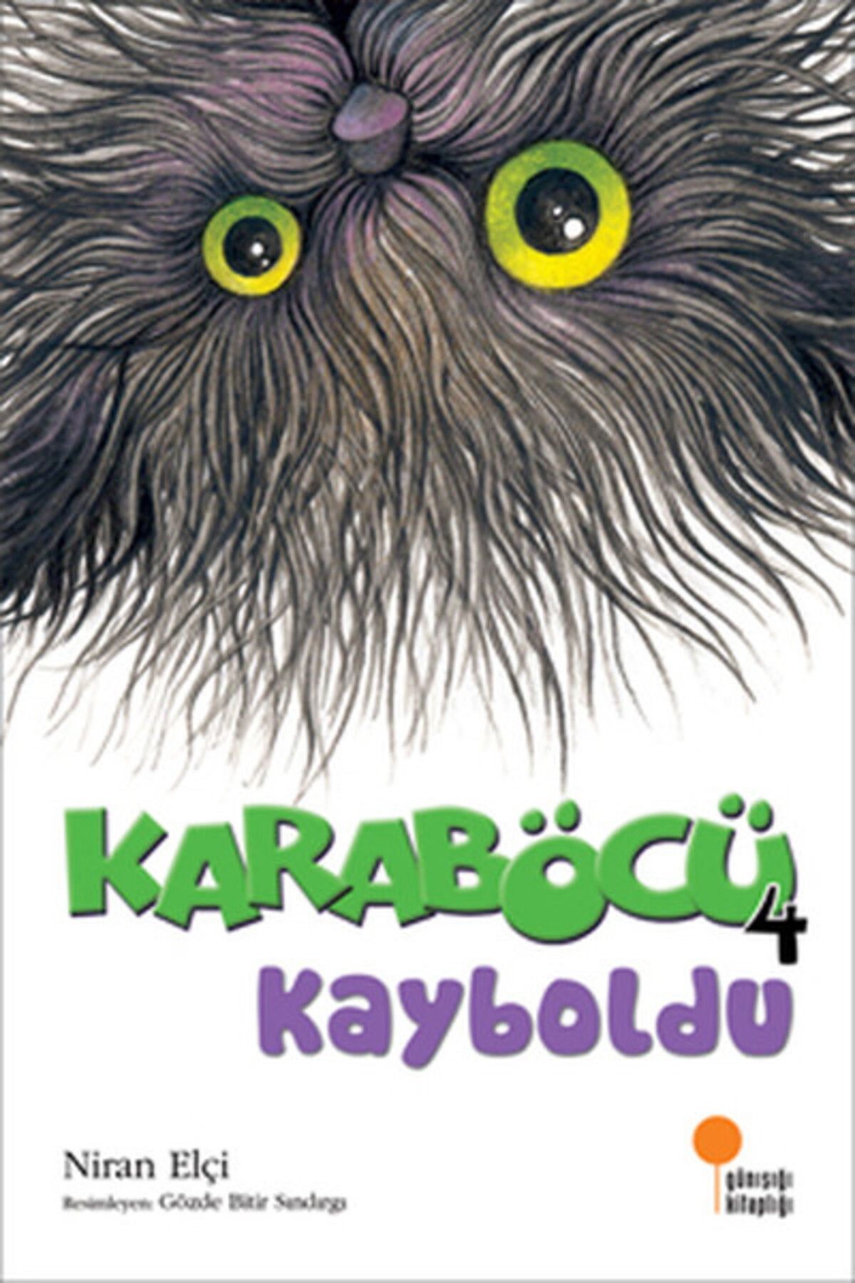 Destek Yayınları Karaböcü Kayboldu
