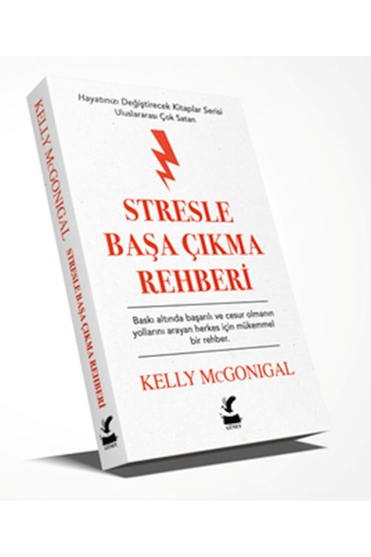 Güney Kitap Stresle Başa Çıkma Rehberi